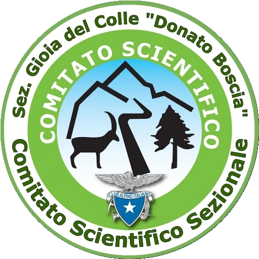 Comitato scientifico sezionale