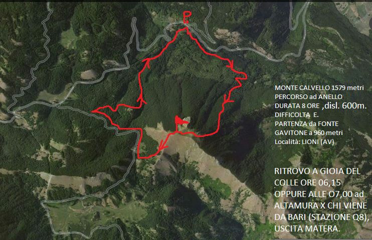 immagine traccia monte Calvello