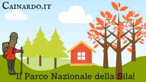 nardo