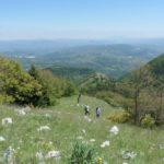 Salendo per Monte Calvello