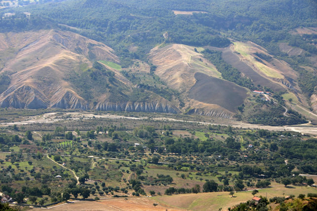 vigneri