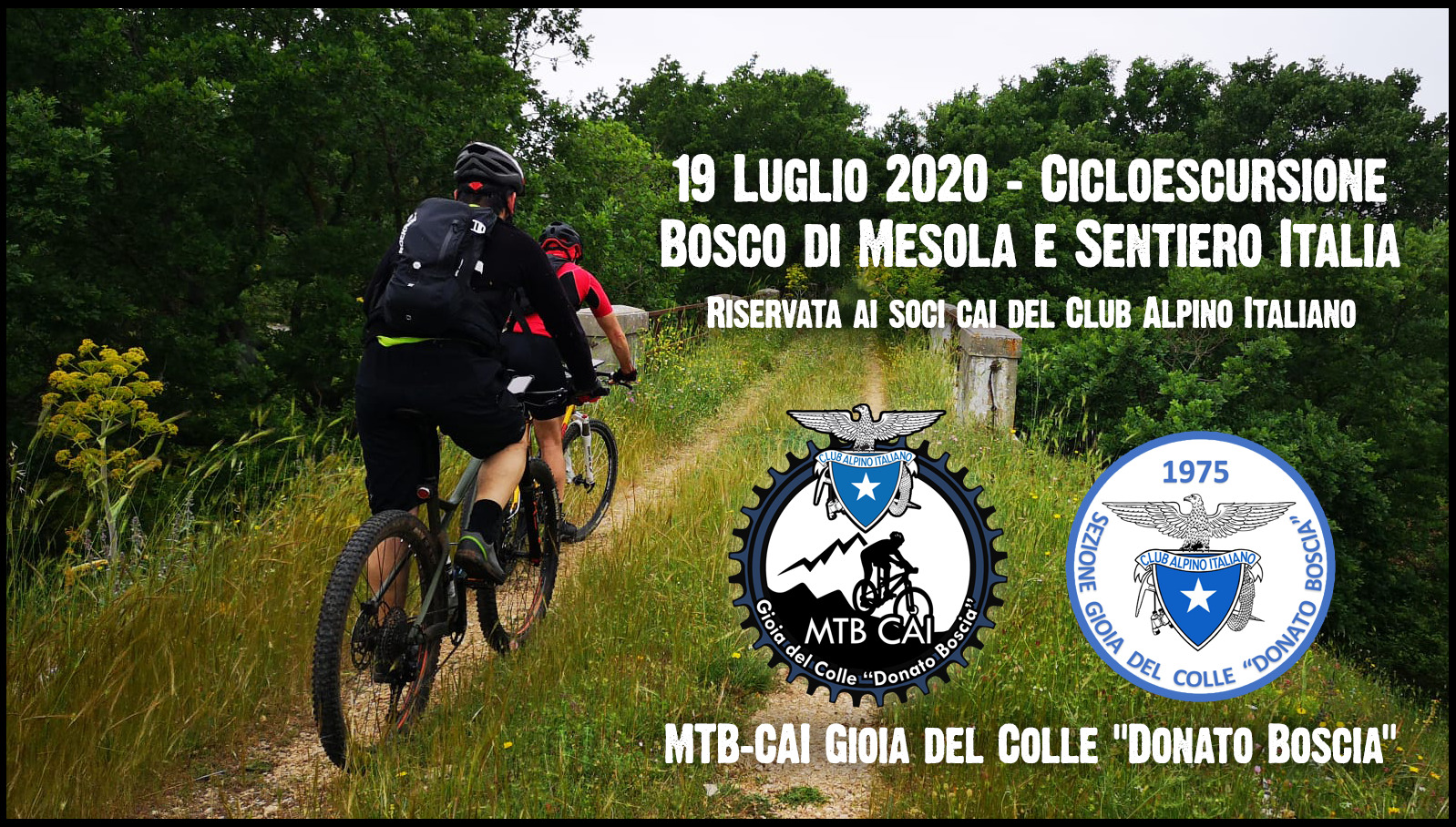 ciclo