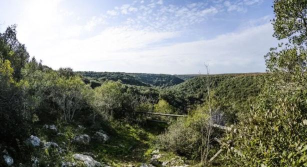 panoramica-pianelle