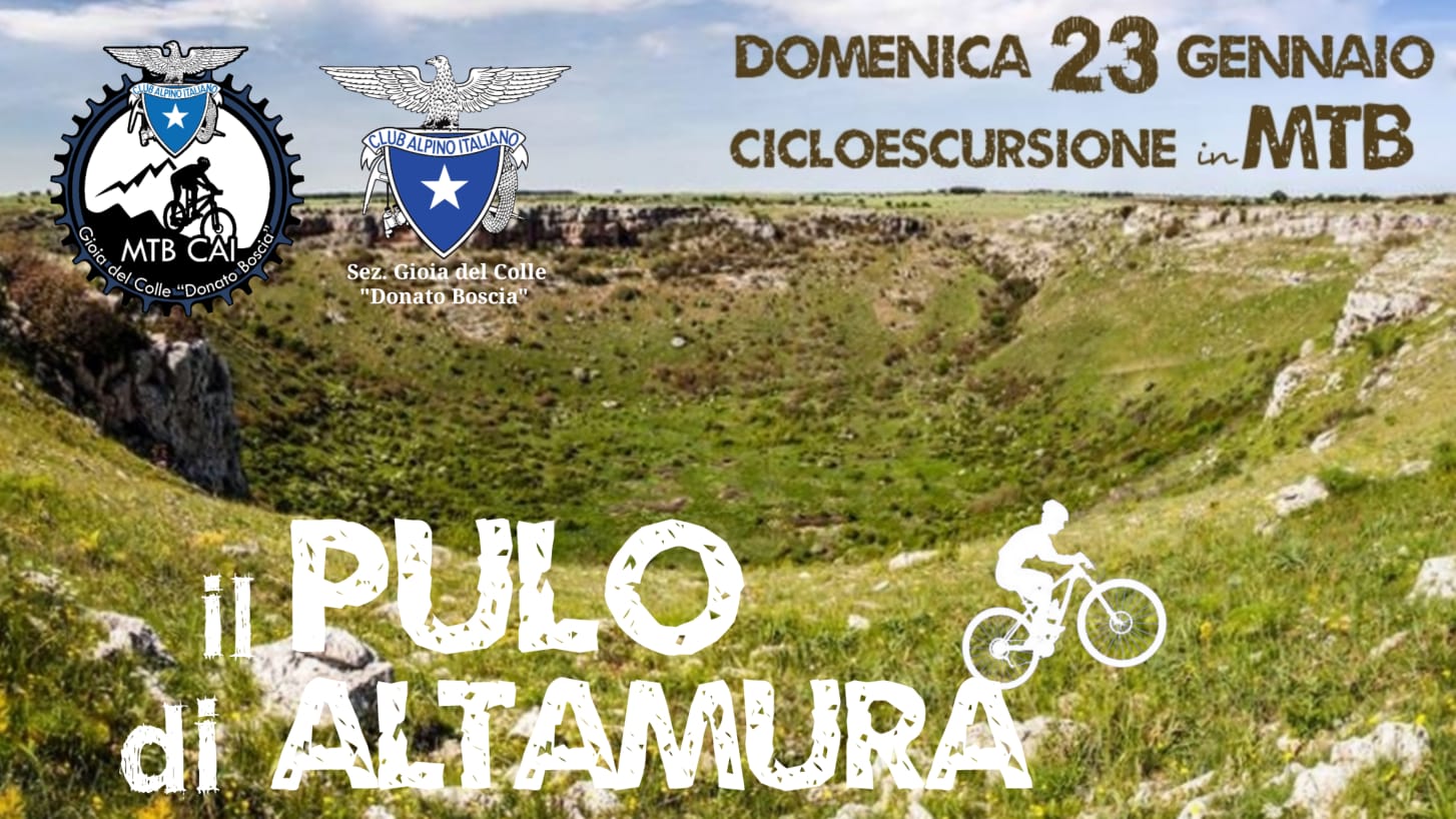 ciclo