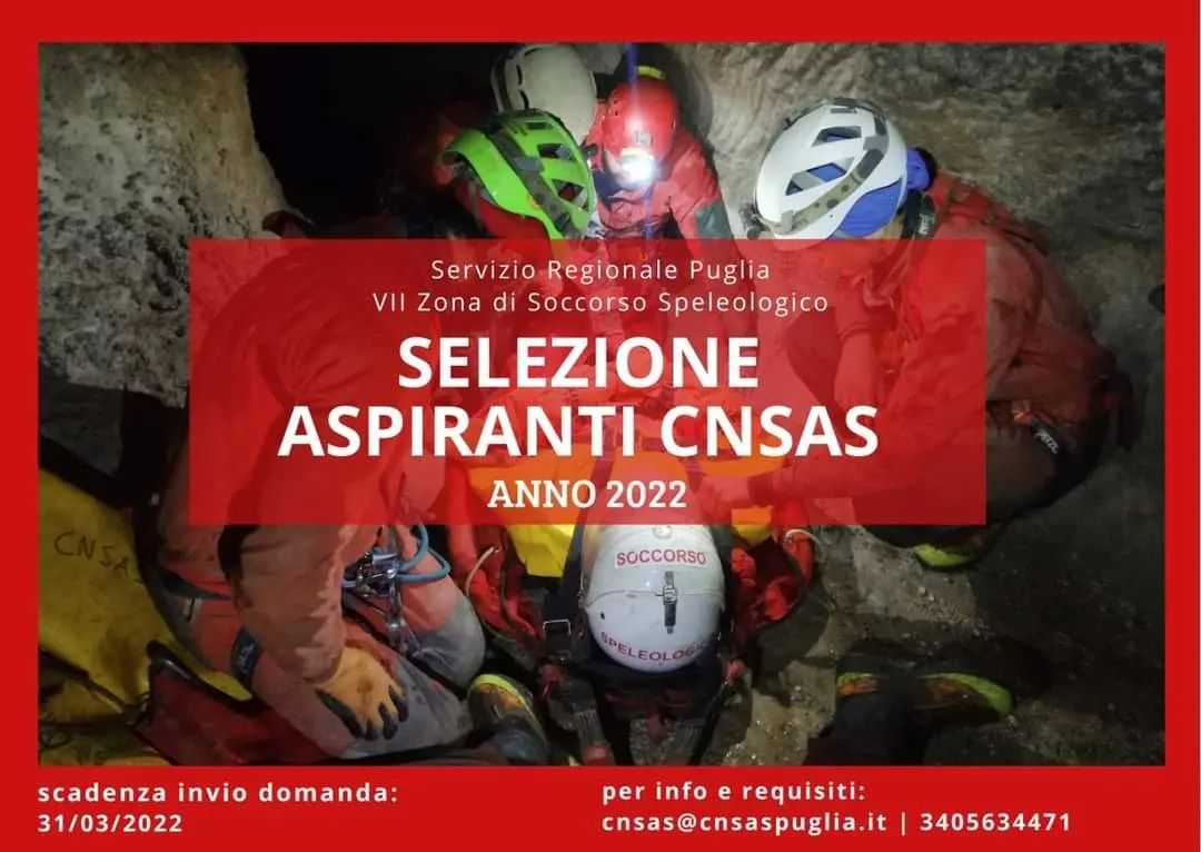 cnsas