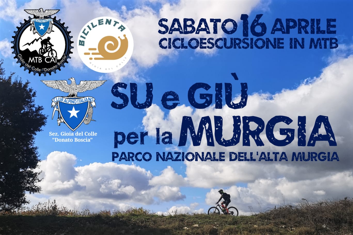 ciclo