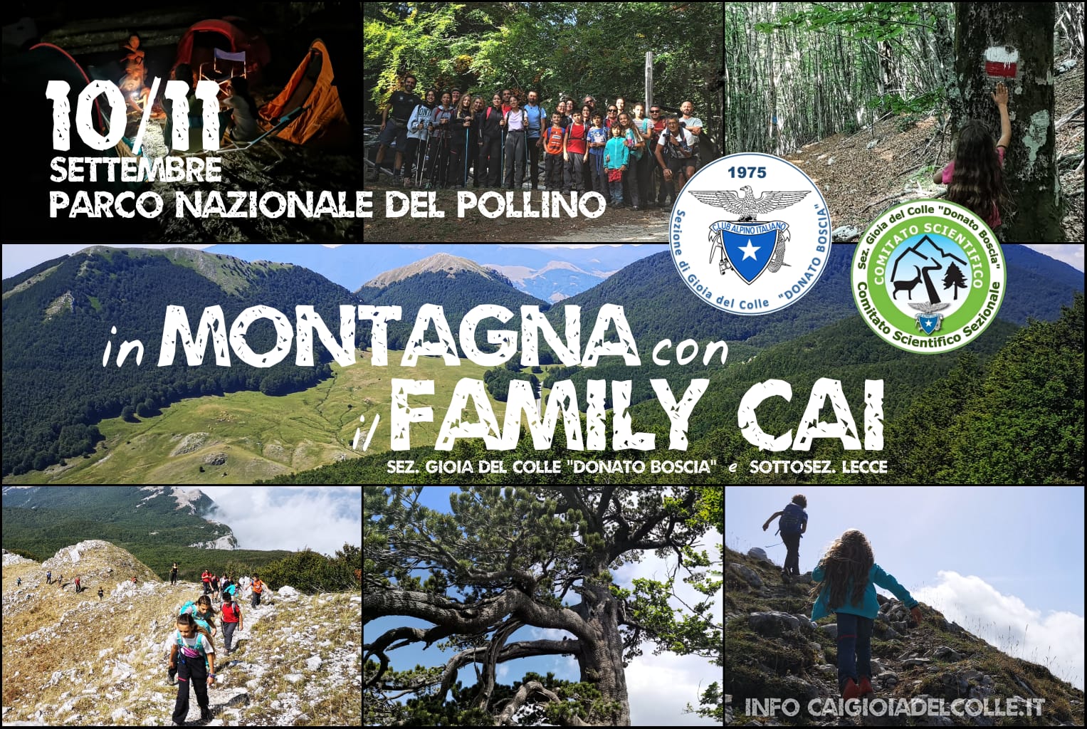 family-cai
