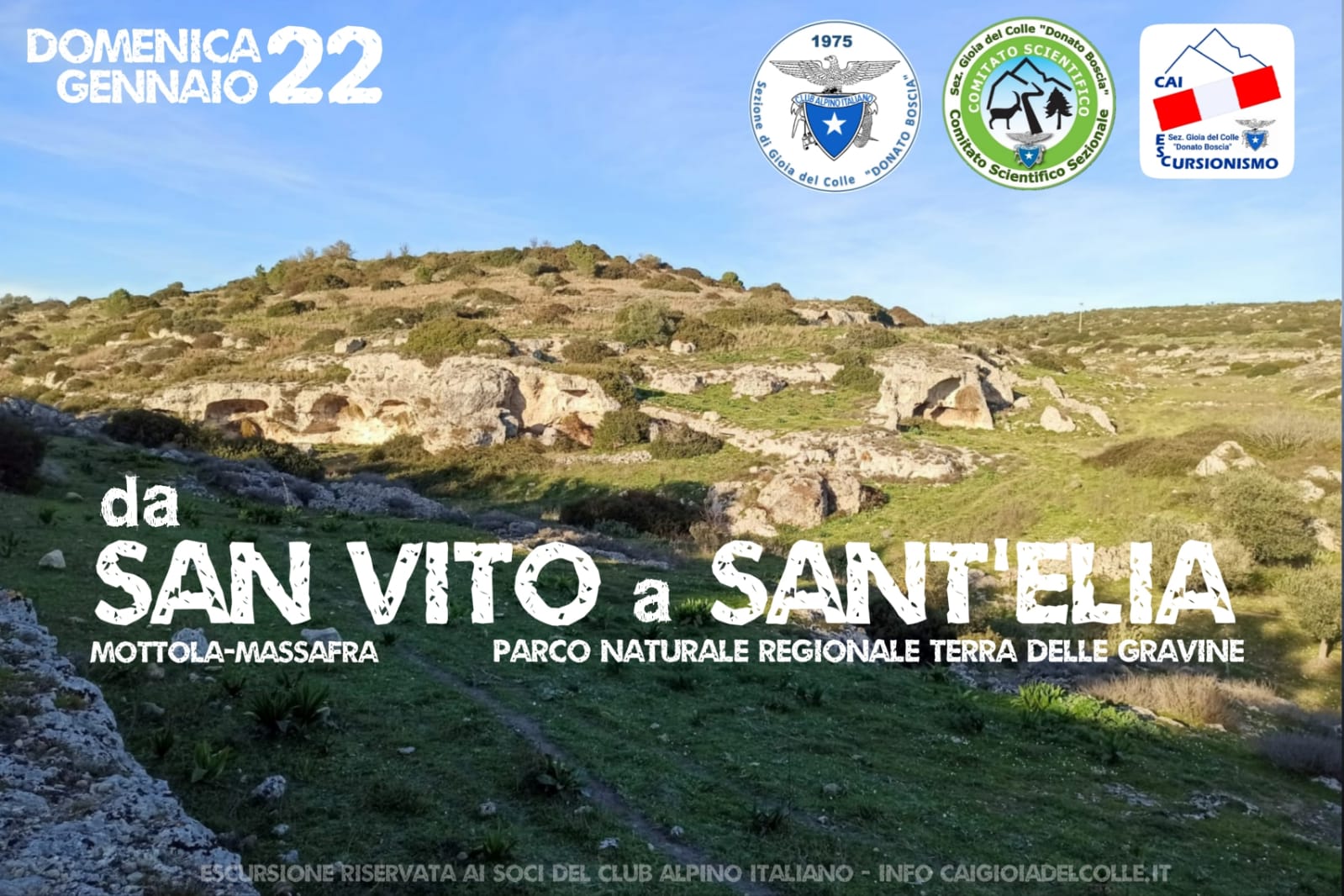 domenica-22