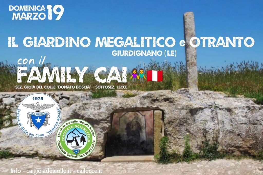 domenica 19